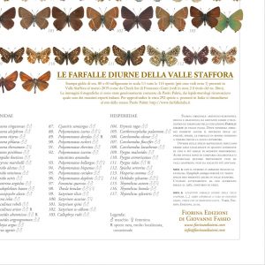 Farfalle-italia-valle-staffora-fiorina-web3
