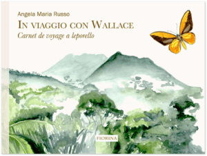 Wallace-russo-carnet-voyage-fiorina-shadow