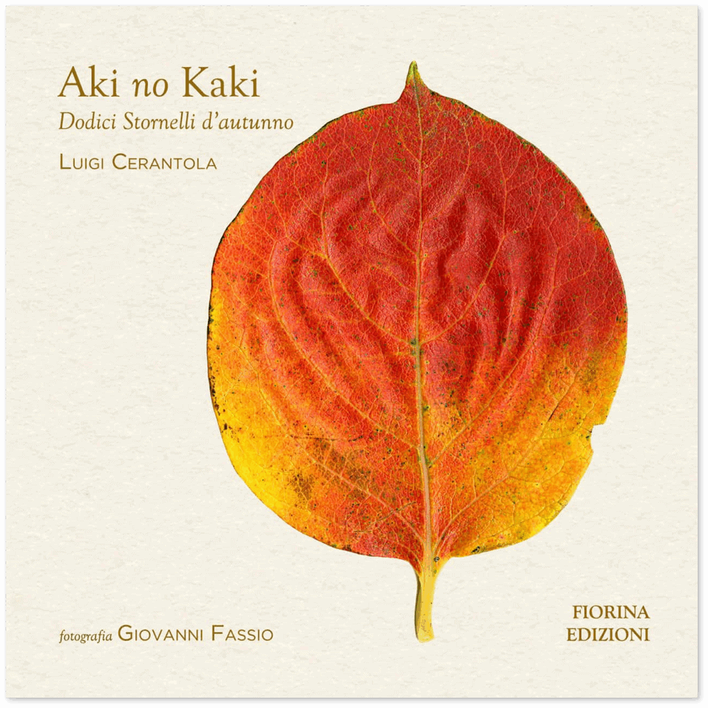 haki no kaki